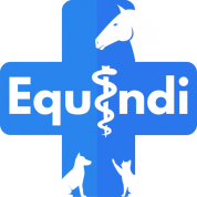 Equindi logo
